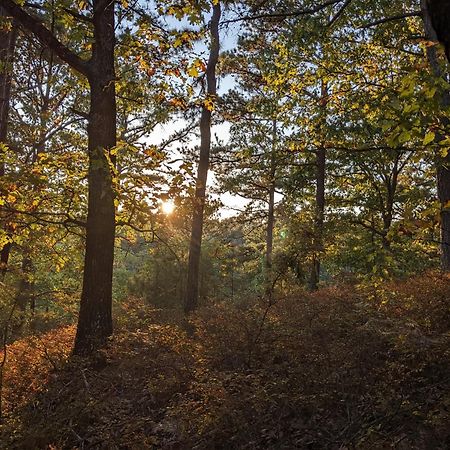 Loblolly Pines #3 Adventure Aframe Villa Eureka Springs Luaran gambar